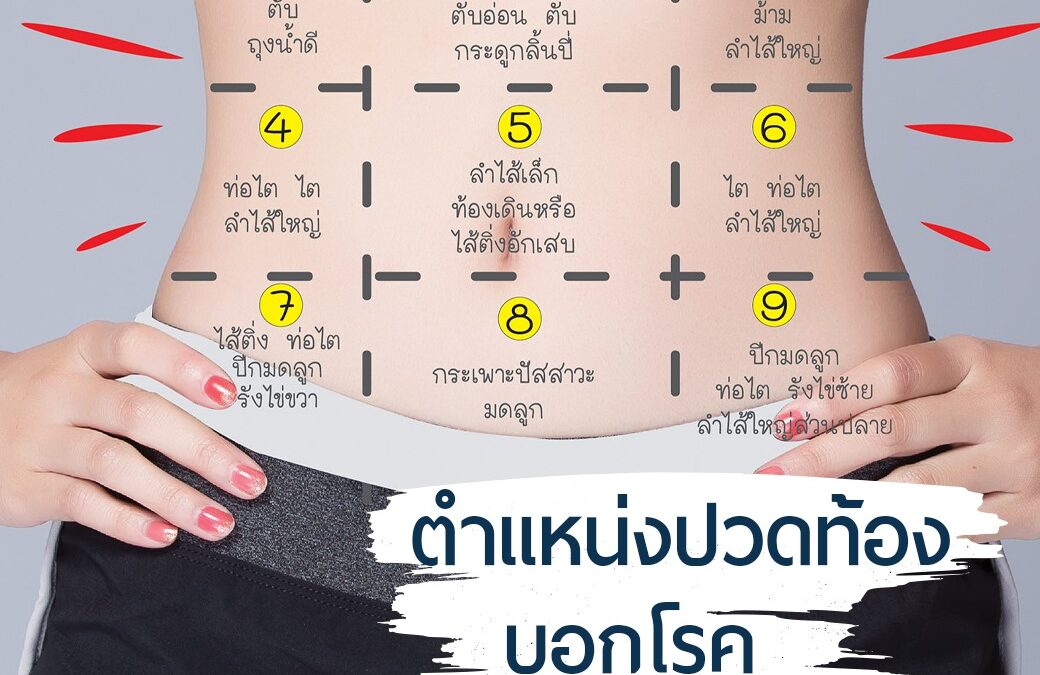 ตำแหน่งปวดท้อง บอกโรคได้